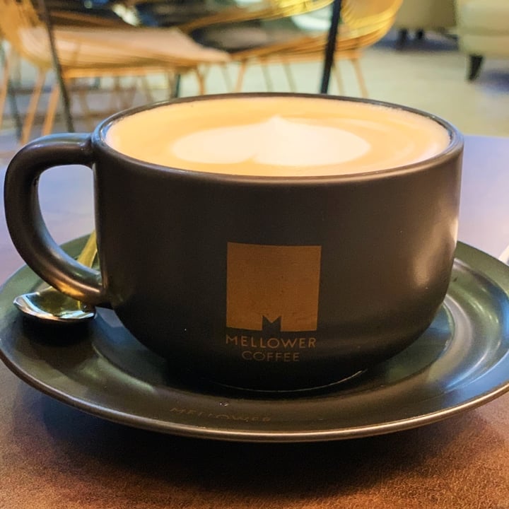 review photo of Mellower Coffee Singapore Oat milk Latte shared by @lasithalokuge on 23 Jan 2020 - review