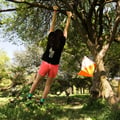 lucy286 @lucy286 profile image