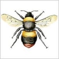 janxr @janxr profile image