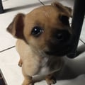marinanovossad @marinanovossad profile image
