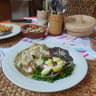 Casita Eco-Vegana de Zihuatanejo (Cooperativa)