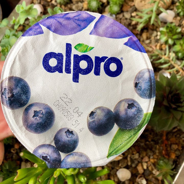 photo of Alpro Blueberry Yogurt shared by @bobbyeats on  21 Mar 2021 - review