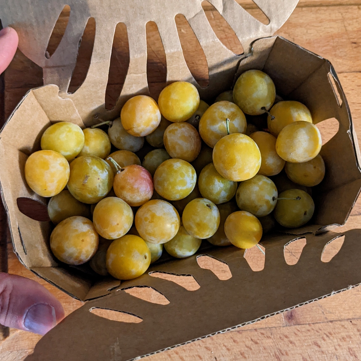 Reflets de france Mirabelles de Lorraine Reviews abillion