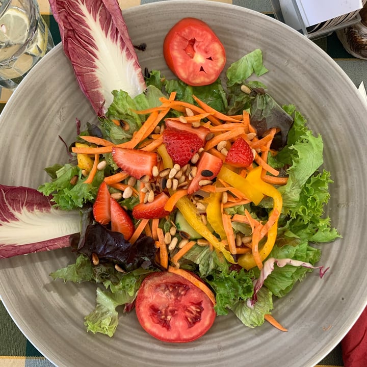 review photo of Gassl Bräu Insalatona con fragole (e formaggio alla griglia) shared by @marilen4 on 14 Aug 2022 - review