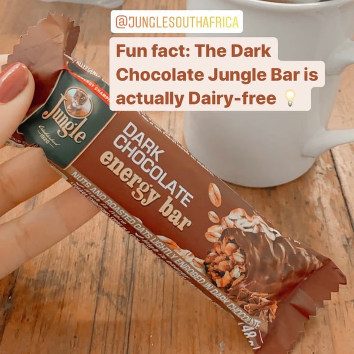Jungle Oats Dark Chocolate Energy Bar Review abillion