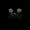 elimeow @elimeow profile image