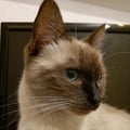francib94 @francib94 profile image