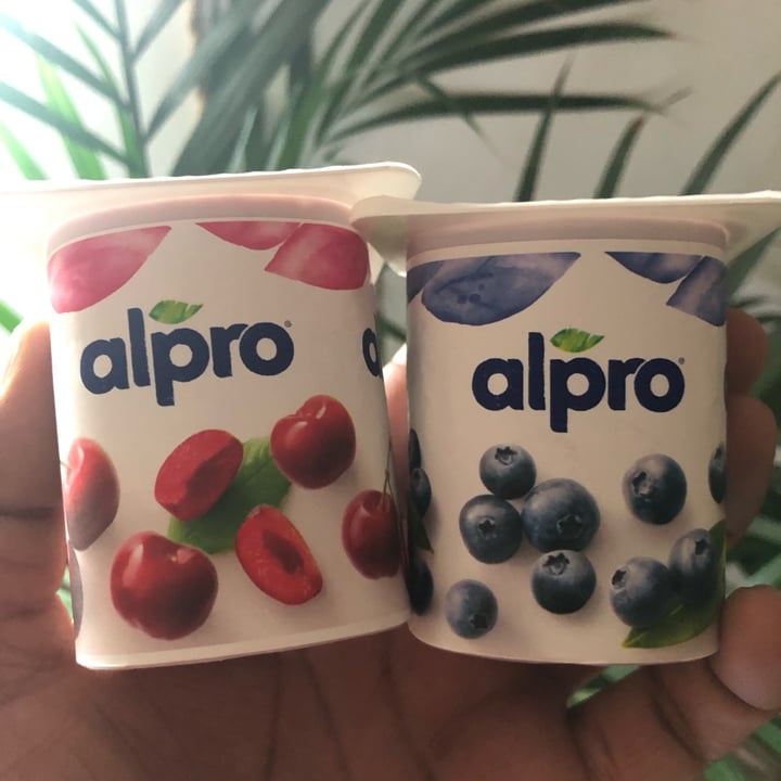 photo of Alpro 2x Blueberry 2x Cherry Yogurt shared by @skepticphytophile on  01 Aug 2022 - review