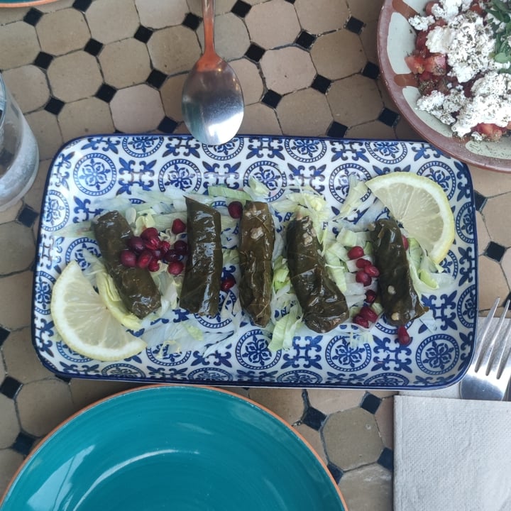 review photo of Casa beirut Feuilles de vigne shared by @allananas on 02 Sep 2022 - review