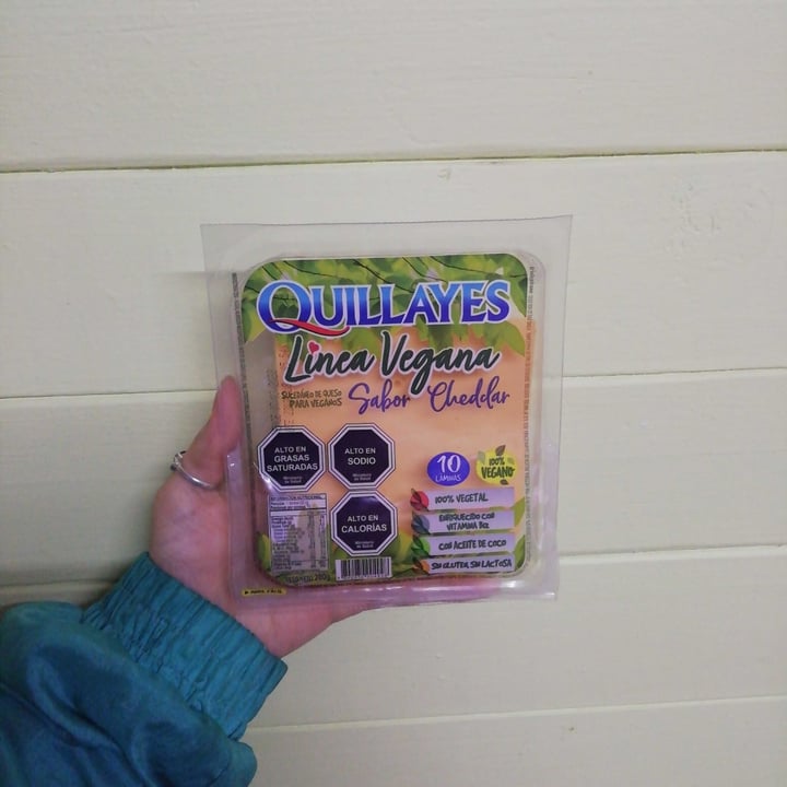 review photo of Quillayes Queso Sabor Cheddar shared by @valentinapia on 21 Feb 2022 - review