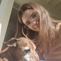 gabidavet @gabidavet profile image