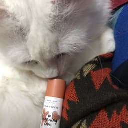 Cocooning love
