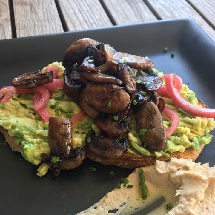 photo of Red Sofa Café Avo on Toast (with Thyme Mushrooms) shared by @murielgravenor on  21 May 2021 - review