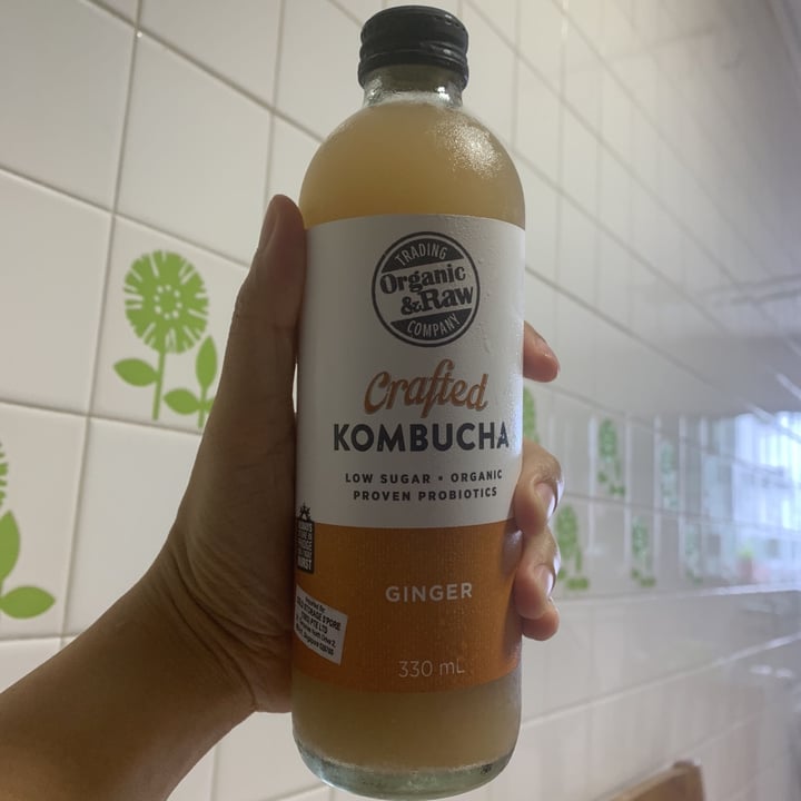 photo of Organic & Raw Ginger Kombucha shared by @rraaaaccchhh on  28 Apr 2021 - review