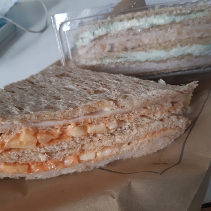review photo of Futuro Veggie - Congreso Sanguches de Miga de Jamón y Queso shared by @melisatrucci on 25 Jan 2021 - review