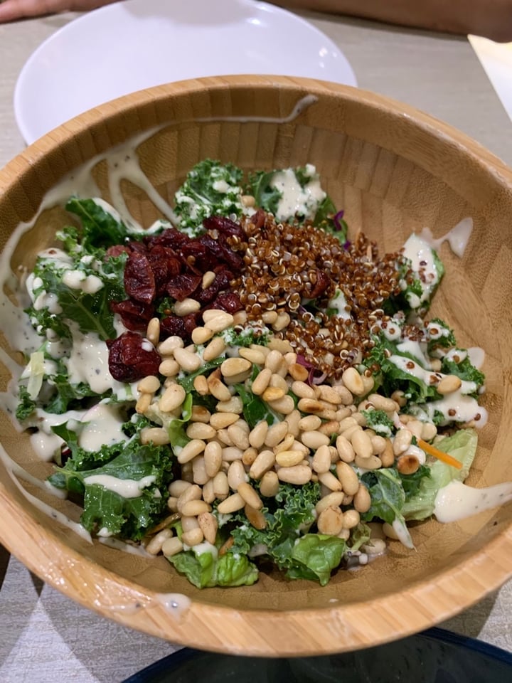 photo of Flavours by Saute Kale Quinoa Salad shared by @bubby on  30 Dec 2019 - review