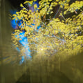 jerald @jerald profile image