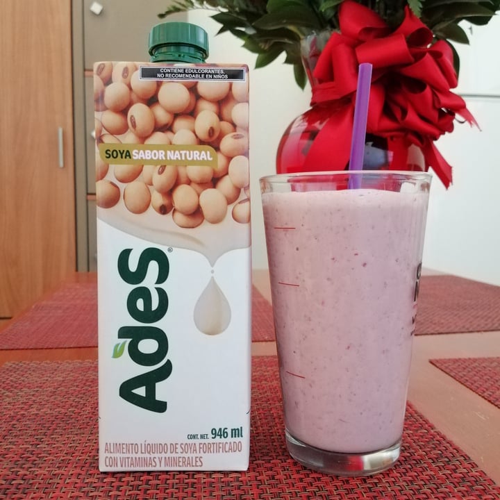photo of Ades Leche de Soja sabor Natural shared by @patitas1080 on  08 Feb 2021 - review