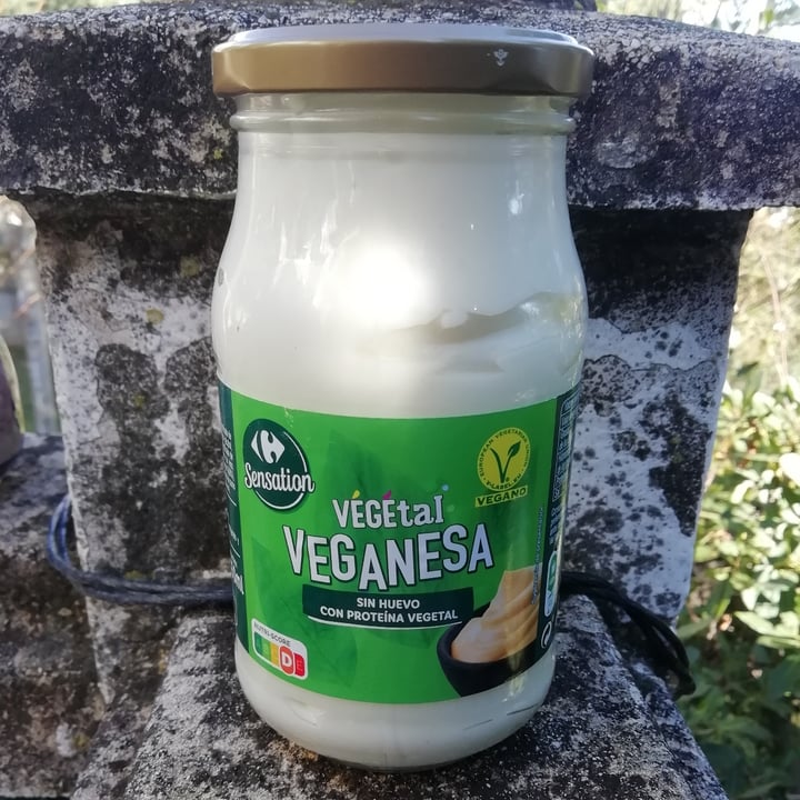photo of Carrefour Sensation Veganesa shared by @ecoilogic on  31 Dec 2022 - review