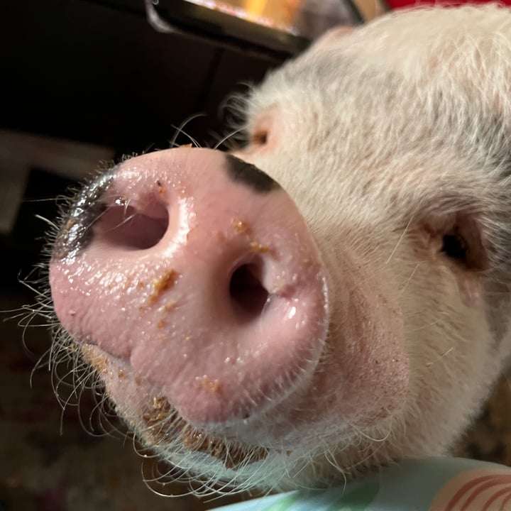 review photo of Mom’s Best Cereals Old Fashioned Oats shared by @archiethepig on 29 May 2022 - review