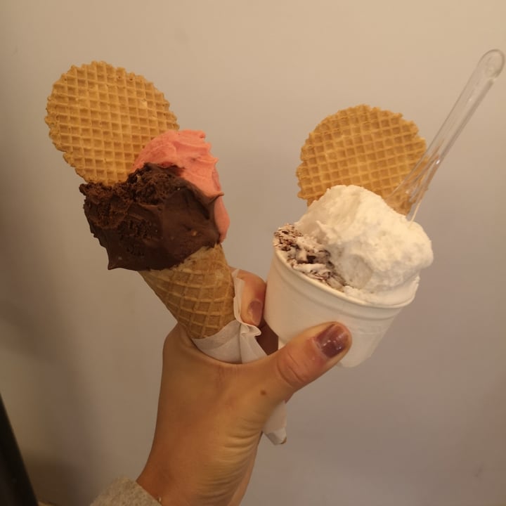 review photo of Gelateria Traditional LatteNeve Gelato shared by @lindaemecs on 17 Nov 2022 - review
