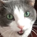 ctfloof @ctfloof profile image