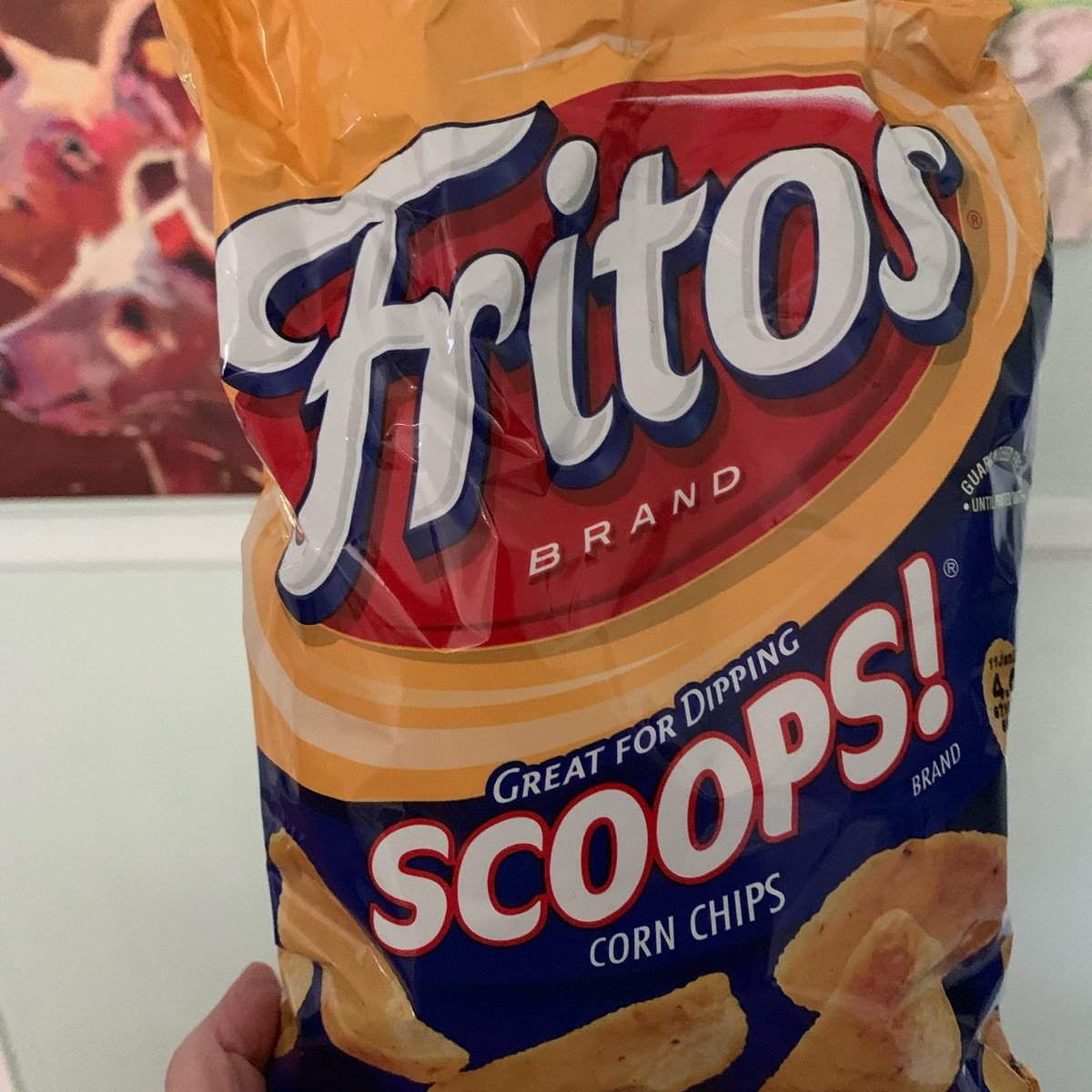 Fritos Scoops Corn Chips Reviews abillion