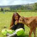 @nicolaravena profile image
