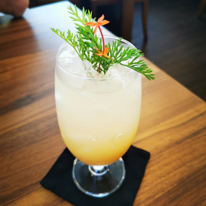 review photo of Sustaina Spicy ginger soda shared by @haruk on 24 Apr 2021 - review