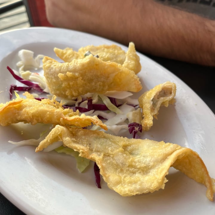 review photo of Sakana Sushi Bar and Lounge Vegan Rangoon shared by @bepotts on 08 Jul 2022 - review