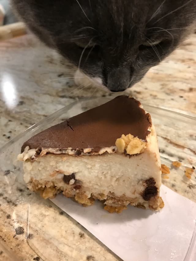 Photo of the dish “Chicago Diner Vegan Chocolate Chip Cheesecake”