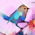 johnn @johnn profile image