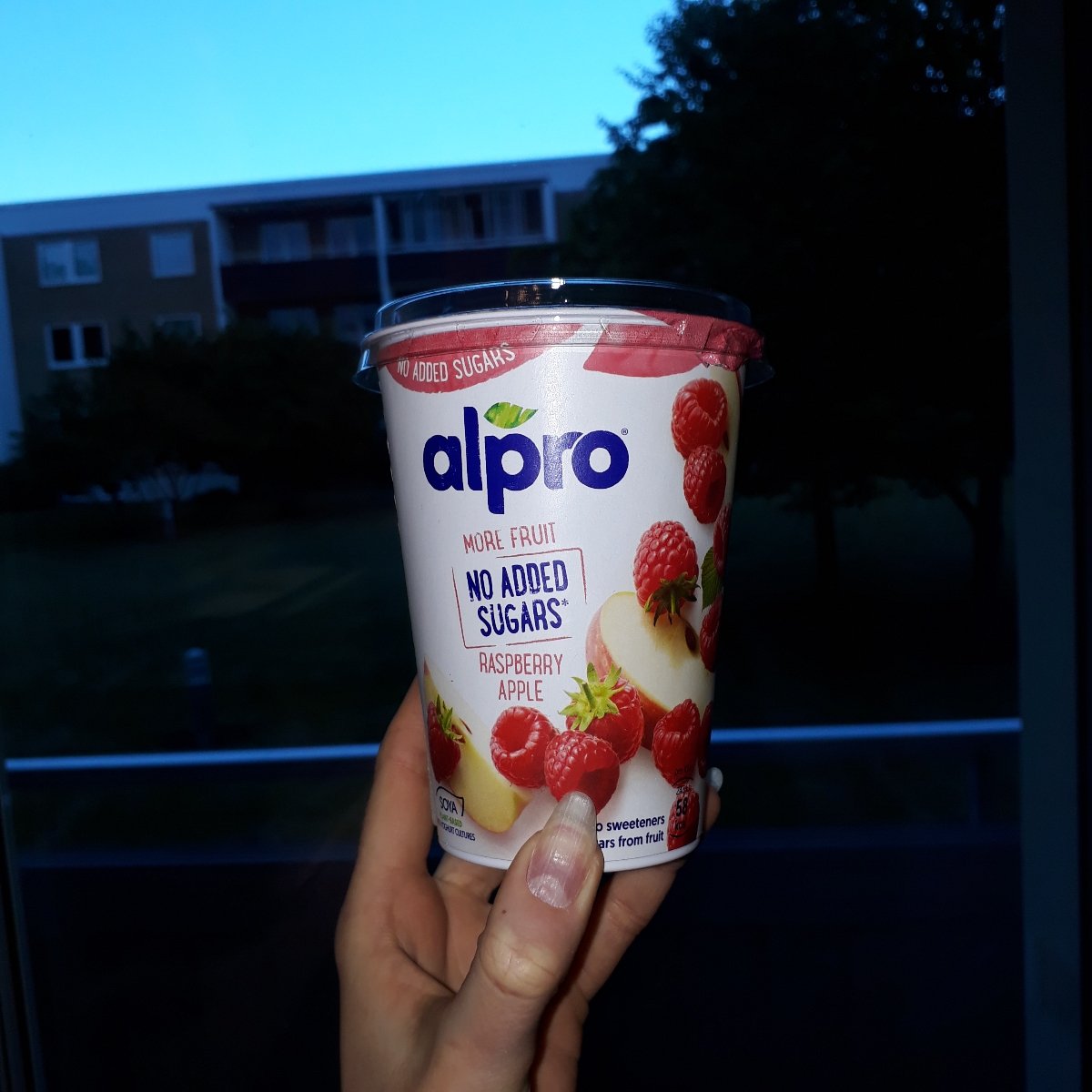 Alpro Yogurt Apple Raspberry Reviews | abillion