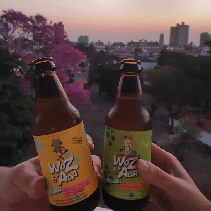 photo of Woz & Ada Kombucha de Limão Siciliano e Gengibre shared by @carollorenzi on  20 Apr 2022 - review