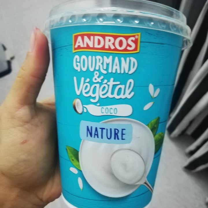 review photo of Andros Yoghurt From Coconut Milk shared by @alepilieri on 08 Sep 2022 - review
