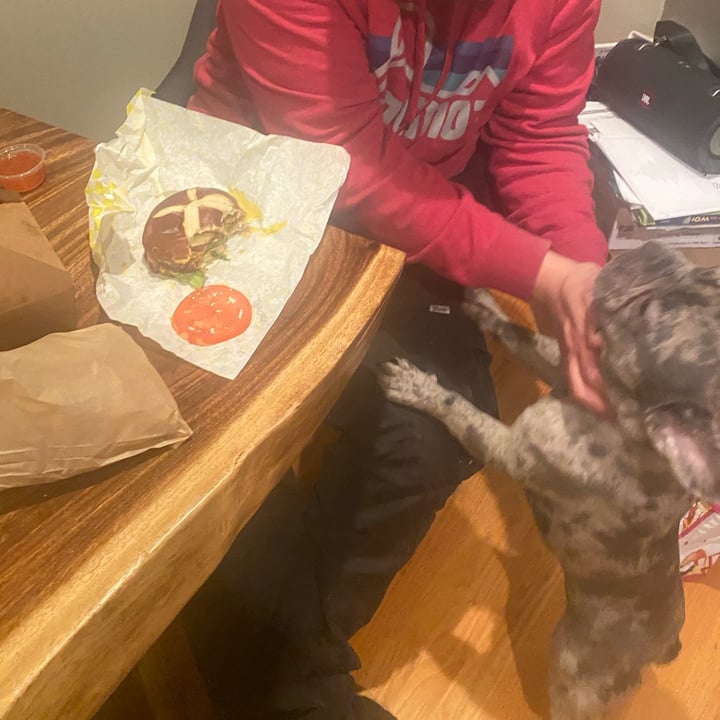 review photo of Alice & Friends' Vegan Kitchen Noble Burger shared by @convicti0n on 06 Jan 2022 - review