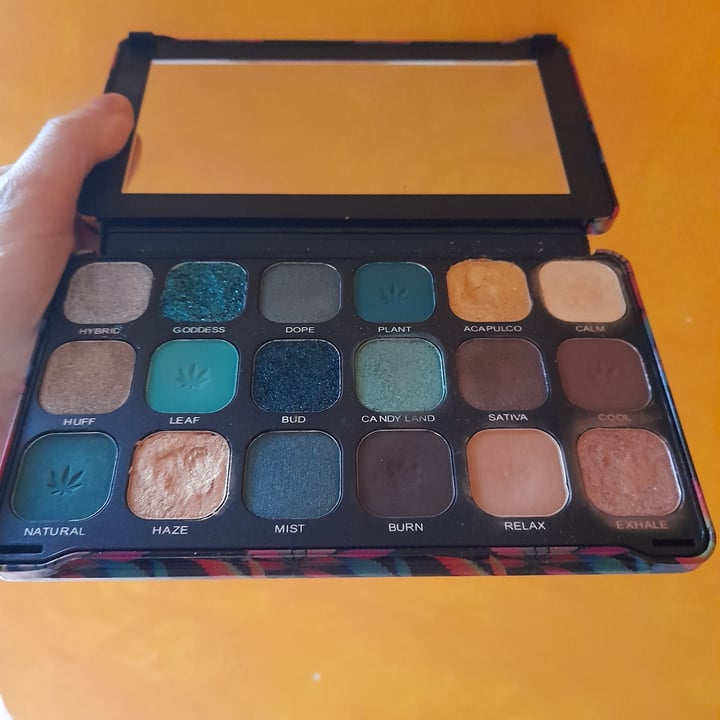 photo of Revolution Beauty Chilled Flawless Finish Palette shared by @angy88 on  06 Jun 2022 - review