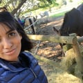 amazingamy @amazingamy profile image