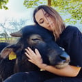 vegverdiana @vegverdiana profile image