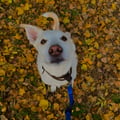 sasa97 @sasa97 profile image