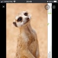 @annalisa91 profile image