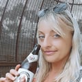 julywings @julywings profile image