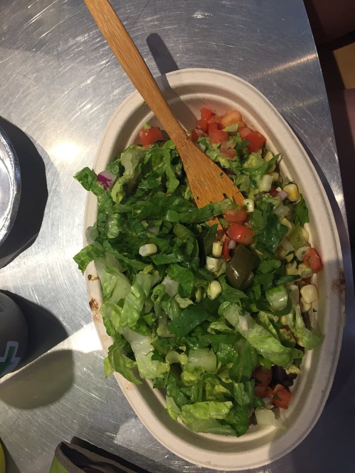 photo of Chipotle Mexican Grill Veggie Bowl shared by @rachel0211 on  24 Aug 2018 - review