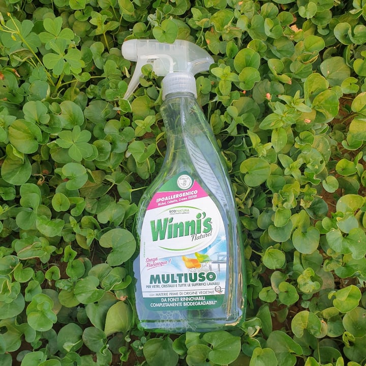 photo of Winni's Naturel Multiuso shared by @ilariasalvadori on  19 Jun 2022 - review