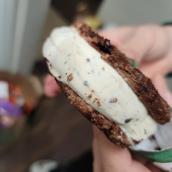 photo of COOL HAUS Dirty Mint Chip Frozen Dessert Sandwich shared by @glitteredweb on  10 Apr 2021 - review