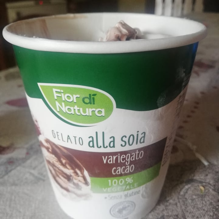 photo of Fior di Natura Gelato Alla Soia Variegato Cacao shared by @elengrana on  11 Jun 2021 - review