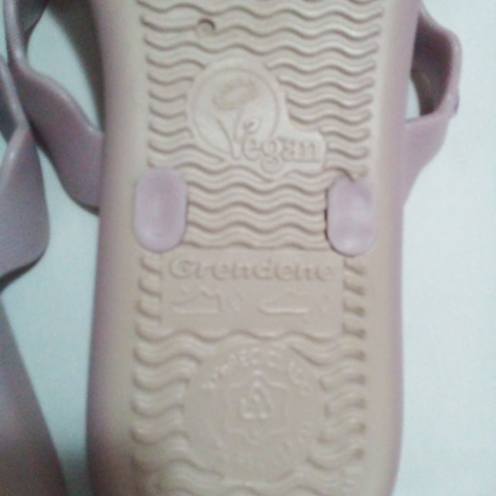review photo of Grendene Ipanema sempre nova shared by @lujoya on 02 Jul 2022 - review