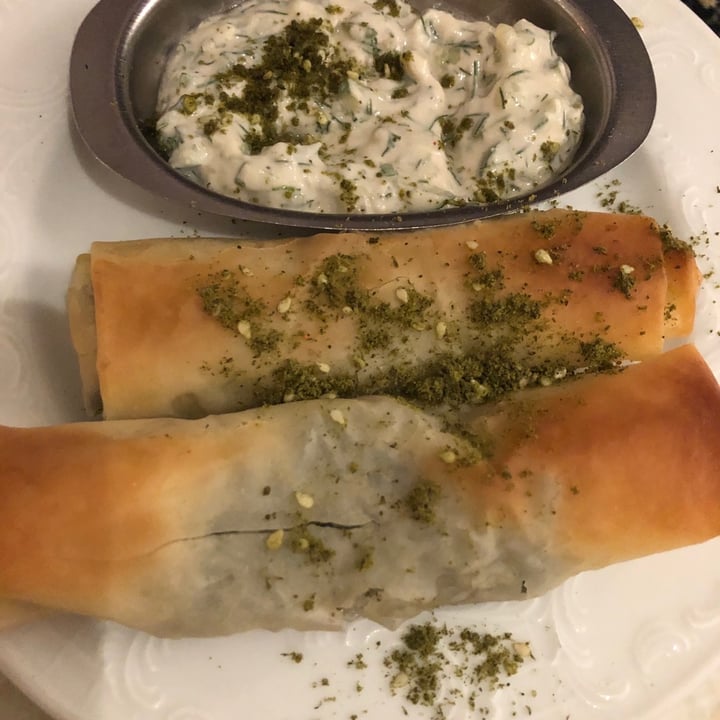 photo of Michelangelo Cafe בצק פילו עם תרד ברוטב ציזיקי shared by @ayelet on  19 Sep 2020 - review