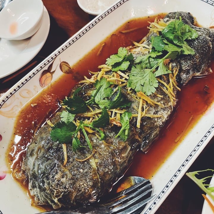 photo of Tian Ci Vegan Steamed Veggie Fish with Ginger and Coriander shared by @clam on  21 May 2021 - review