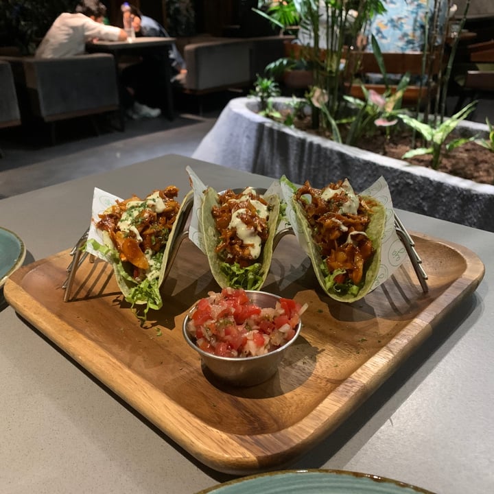 photo of AJA Fresh, Grilled & Healthy- Best Dessert Shop/Organic Food Cafe/Gluten free Food In Chandigarh Pulled BBQ Jackfruit Tacos shared by @pv on  20 Apr 2021 - review